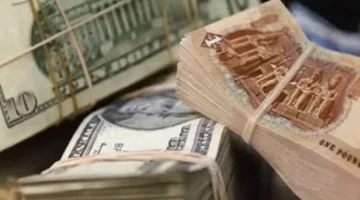 تحركات مفاجئة في سعر الدولار بمصر وارتفاع ضخم في التحويلات بنسبة 40%